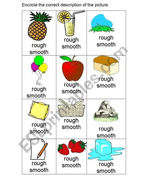 Rough and Smooth - ESL worksheet by kenshin1017