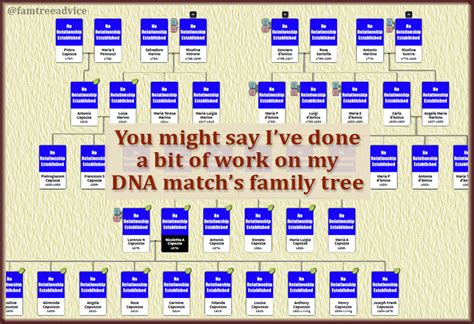 Fortify Your Family Tree: Let a DNA Match Guide Your Research for a While