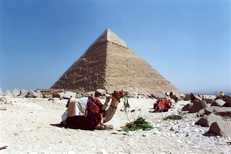 Painting Of Pyramid And Camel Free Stock Photo - Public Domain Pictures