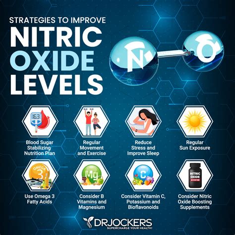 Nitric Oxide Benefits and How to Increase Levels - DrJockers.com