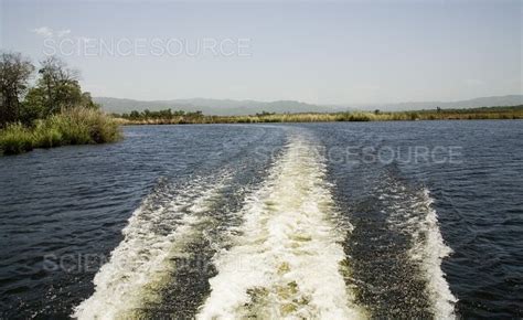 Photograph | Black River, Jamaica | Science Source Images