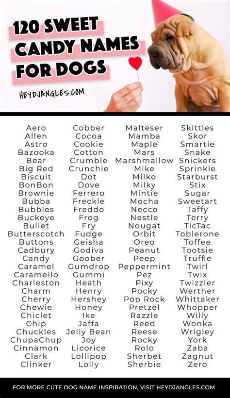 120 Sweet Candy Names for Dogs - Hey, Djangles.