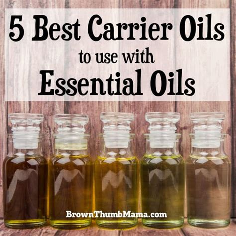 The 5 Best Carrier Oils for Essential Oils • Brown Thumb Mama