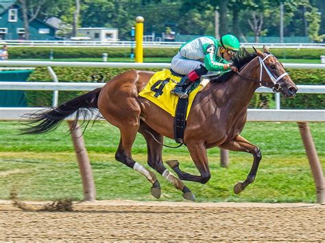 “Staying Home”: Equestrian Trainer Goes Candid on Future of Three-Year ...