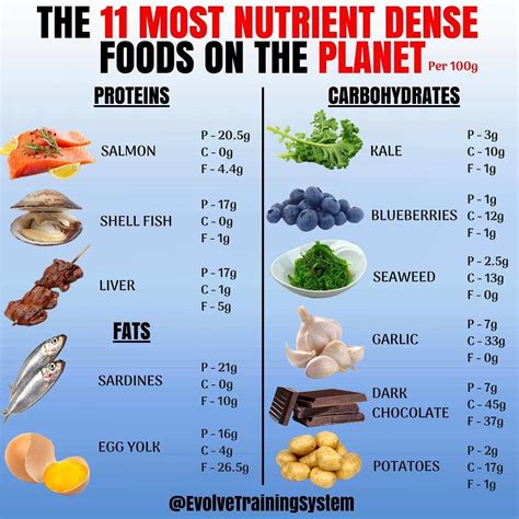 🔥11 MOST NUTRIENT DENSE FOODS🔥 By @evolvetrainingsystem . I realized I ...