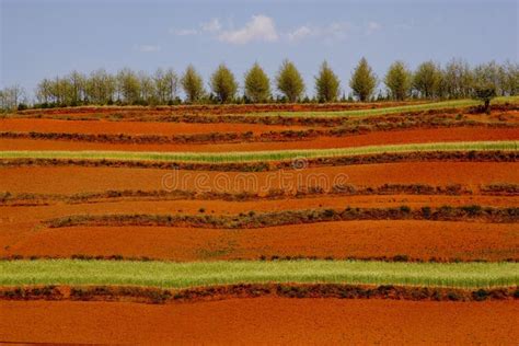 Red Land stock image. Image of countryside, field, china - 5559947