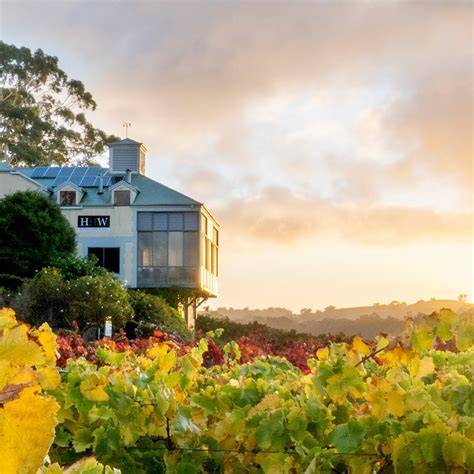 Best Adelaide Hills Wineries - Wine Selectors