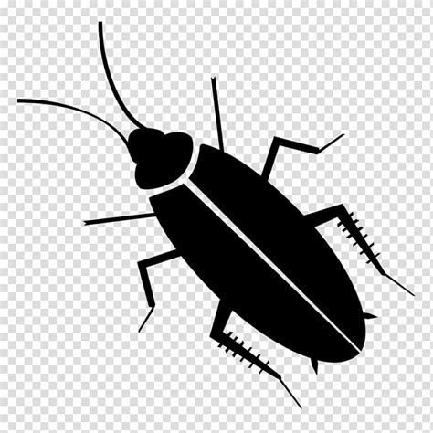 cockroach clipart - Clip Art Library