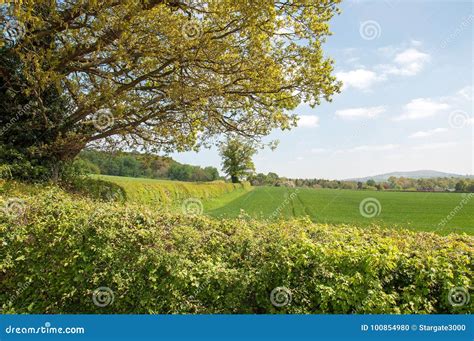 Summertime Scenery in the Herefordshire Countryside. Stock Photo ...