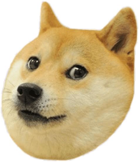 Doge Meme Templates Indian Meme Templates - vrogue.co