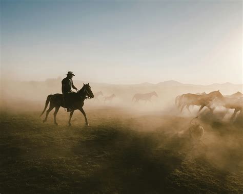 Silhouette of a Cowboy at Sunset · Free Stock Photo