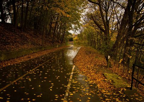 🔥 [40+] Rainy Fall Wallpapers | WallpaperSafari