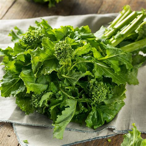 Leafy Greens 101: Your Guide to the Leafy Green Vegetables You Should ...