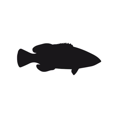 Grouper Silhouette at GetDrawings | Free download