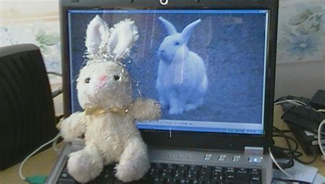 Rabbit and Bunny Plush on the Computer by jaycebrasil on DeviantArt