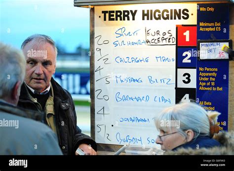 Greyhounds - Newcastle Greyhound Stadium Stock Photo - Alamy