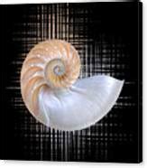 Nautilus Seashell Abstract - Vertical Photograph by Gill Billington - Fine Art America