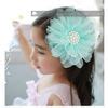 Pearl Tulle Flower Hair Clips Bridal Party Girl Head Flowers/Corsage/Brooch/Kids Hair ...