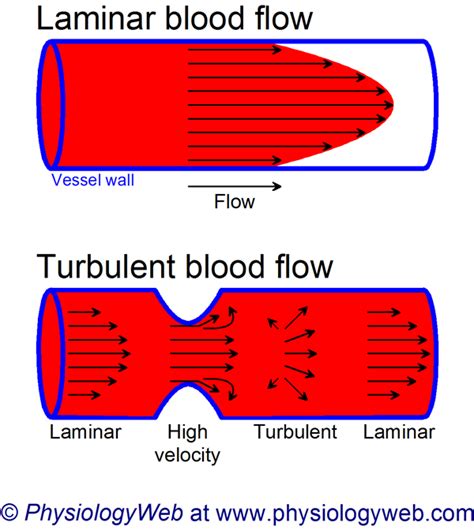 Turbulent flow vs laminar flow - frenzyjoker