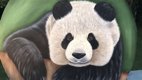 Panda Bear Acrylic Painting - YouTube