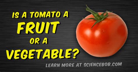 Is a tomato a fruit or a vegetable? - ScienceBob.com