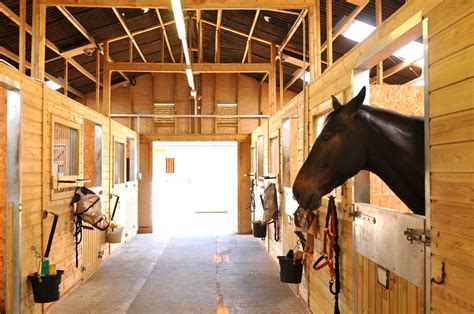 These Amazing Horse Barns Look Like 5-Star Hotels | Horse barns, Amazing horse barns, Horses