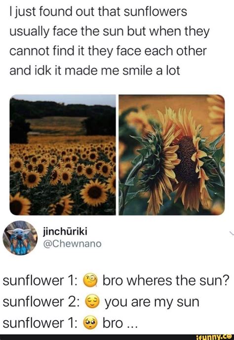 I just found out that sunflowers usually face the sun but when they cannot find it they face ...