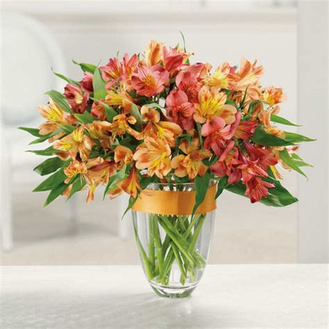 Corpus Christi Florist | Flower Delivery by Andrews Flowers