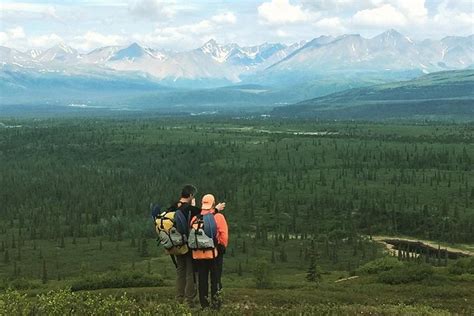 Denali Hiking Tour 2021 - Denali National Park