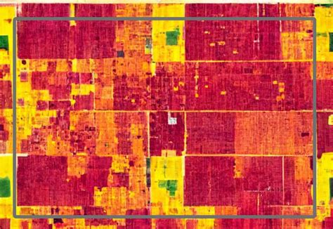 How To Calculate NDVI Pixel Values