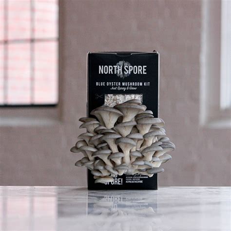 Mushroom Grow Kits for Beginners | North Spore