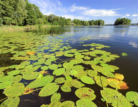 In a land of thousands lakes - Poland.pl