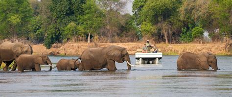 Classic Zimbabwe Safari Package: Hwange and Mana Pools - Africa Endeavours