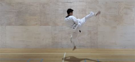 Taekwondo Roundhouse Kick