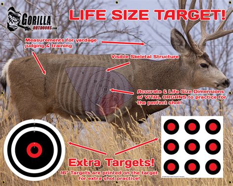 ELK Target - Life Size Elk Target for Archery or Rifle – ChocolateWeapons