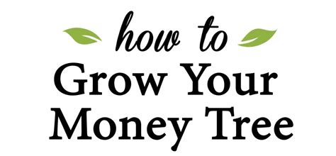 How to Grow Your Money Tree Video - Consumer Credit