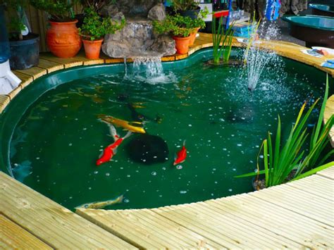 Backyard koi pond designs - large and beautiful photos. Photo to select Backyard koi pond ...