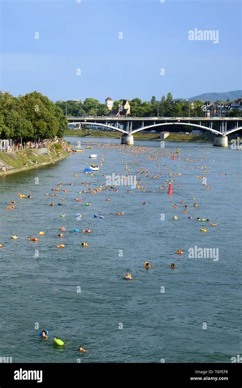 Basel Rhine Swimming Stock Photo - Alamy