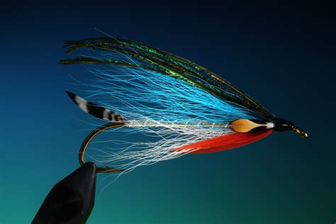 fly, Fishing, Sport Wallpapers HD / Desktop and Mobile Backgrounds