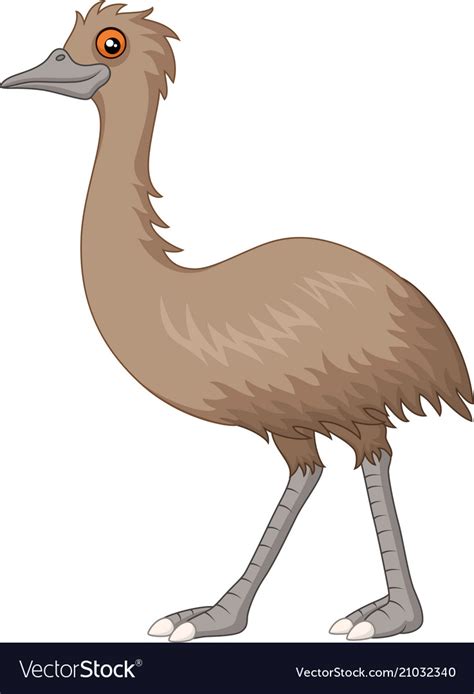 Cartoon emu isolated on white background Vector Image