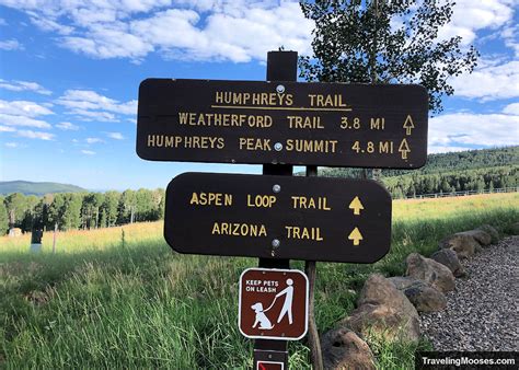 Hiking the Aspen Loop trail in Flagstaff, AZ | Traveling Mooses