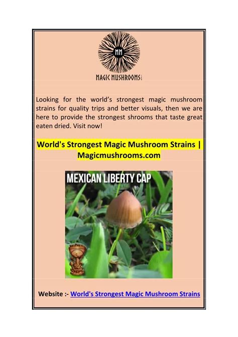 PPT - World's Strongest Magic Mushroom Strains Magicmushrooms.com PowerPoint Presentation - ID ...