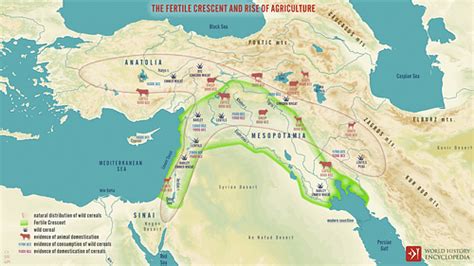 Agriculture in the Fertile Crescent & Mesopotamia - World History ...