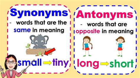 Synonyms and Antonyms - meaning and examples | Lesson with quiz - YouTube