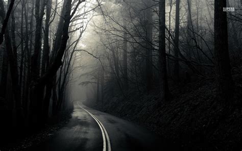 Road through the dark woods wallpaper - Nature wallpapers