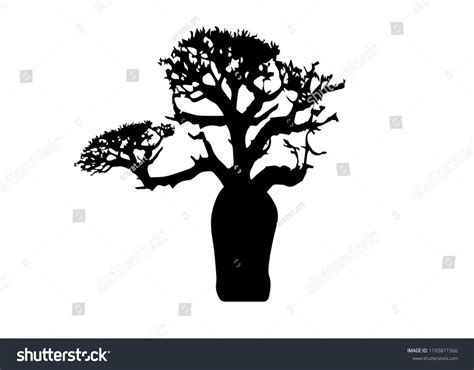 70 Boab Tree Australia Stock Vectors, Images & Vector Art | Shutterstock