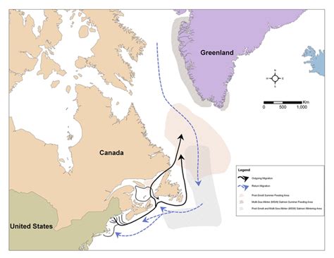 Atlantic salmon in a changing Northwest Atlantic ecosystem - Gulf of Maine Research Institute