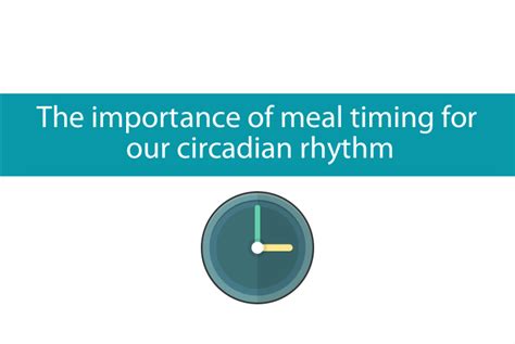 The importance of meal timing for our circadian rhythm and health ...