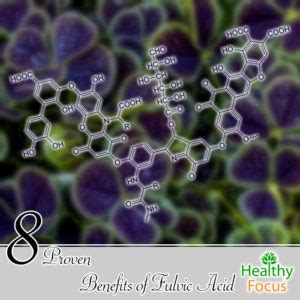 8 Proven Benefits of Fulvic Acid - Healthy Focus