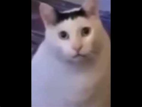 Cat saying “huh” - YouTube
